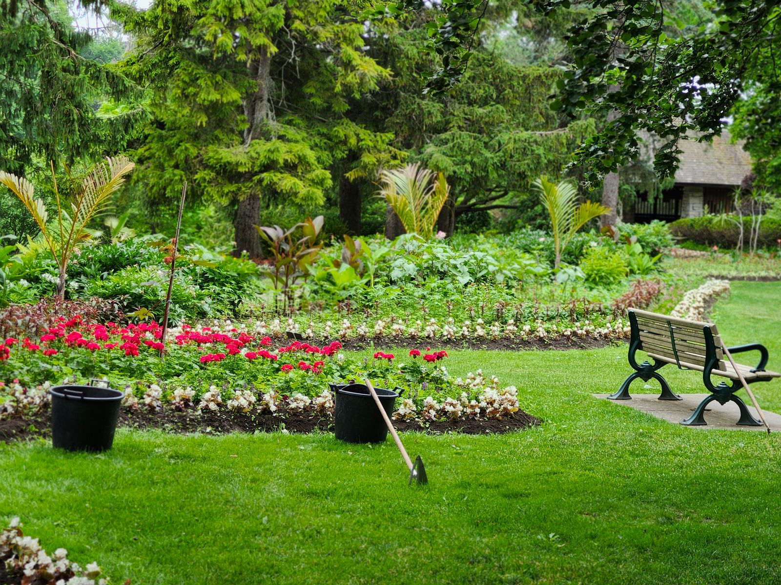 Tranquil garden scene with lush greenery